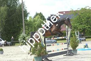 2022-06-14: Colina  bei Reitturnier in Neu Benthen