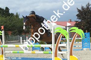 2022-06-14: Florida  bei Reitturnier in Neu Benthen