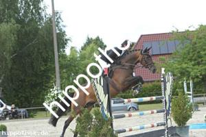 2022-06-14: Halla  bei Reitturnier in Neu Benthen