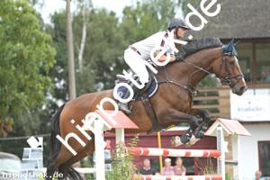 2022-07-31: Quester   bei Reitturnier in Blowatz