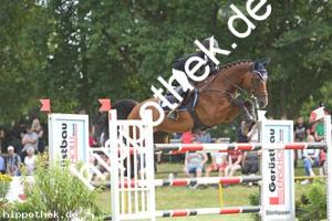 2022-07-31: Crawallo BS  bei Reitturnier in Blowatz