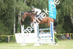 2022-07-31: Quester   bei Reitturnier in Blowatz