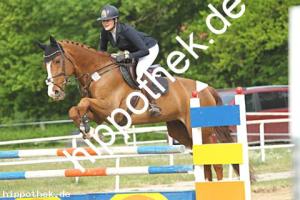 2023-05-21: Carlisle Blue  bei Reitturnier in Dummerstorf