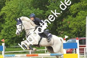 2023-05-21: Come on Girl  bei Reitturnier in Dummerstorf