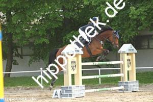 2023-05-21: Ellenoy  bei Reitturnier in Dummerstorf