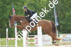 2023-05-21: Carlisle Blue  bei Reitturnier in Dummerstorf