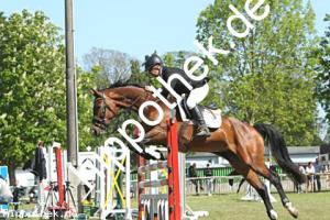 2023-05-28: Calistha  bei Reitturnier in Elmenhorst