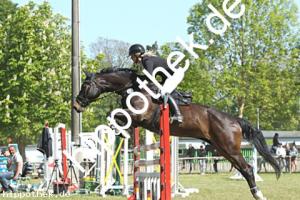 2023-05-28: Quintara  bei Reitturnier in Elmenhorst
