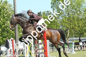 2023-05-28: Mercurio  bei Reitturnier in Elmenhorst