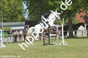 2023-05-28: Come on Girl  bei Reitturnier in Elmenhorst