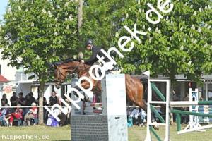 2023-05-28: Calistha  bei Reitturnier in Elmenhorst