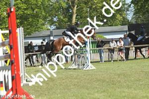2023-05-28: Calistha  bei Reitturnier in Elmenhorst