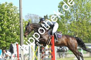 2023-05-28: Honeur S  bei Reitturnier in Elmenhorst