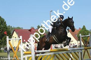2023-05-28: Honeur S  bei Reitturnier in Elmenhorst