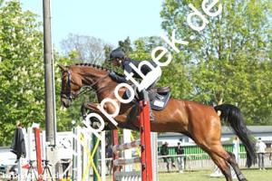 2023-05-28: Vesta  bei Reitturnier in Elmenhorst