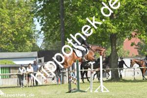 2023-05-28: Calistha  bei Reitturnier in Elmenhorst