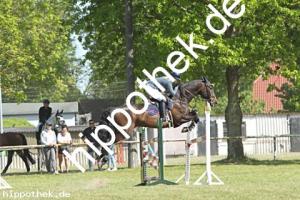2023-05-28: Honeur S  bei Reitturnier in Elmenhorst