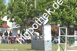 2023-05-28: Honeur S  bei Reitturnier in Elmenhorst