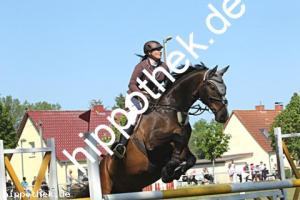 2023-05-28: Mercurio  bei Reitturnier in Elmenhorst