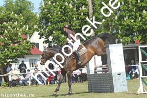 2023-05-28: Mercurio  bei Reitturnier in Elmenhorst