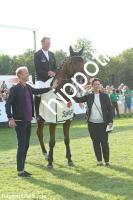 2023-09-17:  bei Reitturnier in Mühlengeez