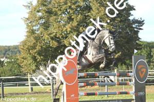 2023-09-24: Crown Prince  bei Reitturnier in Malchow