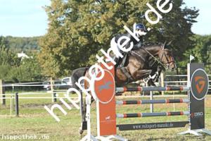 2023-09-24: Capitan K  bei Reitturnier in Malchow