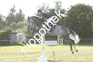 2023-09-24: Crown Prince  bei Reitturnier in Malchow