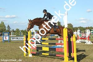 2023-09-24: Chaccolisto  bei Reitturnier in Malchow