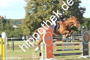 2023-09-24: Chaccolisto  bei Reitturnier in Malchow