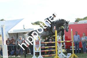 2023-09-24: Crown Prince  bei Reitturnier in Malchow