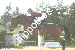 2023-09-24: Hell Boy van de Zuuthoeve  bei Reitturnier in Malchow