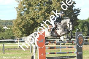 2023-09-24: Crown Prince  bei Reitturnier in Malchow