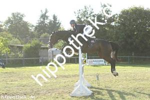 2023-09-24: Capitan K  bei Reitturnier in Malchow