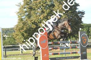 2023-09-24: Conaldo  bei Reitturnier in Malchow