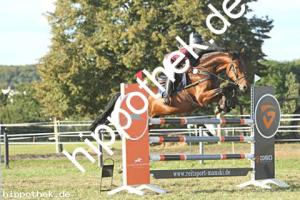 2023-09-24: Hell Boy van de Zuuthoeve  bei Reitturnier in Malchow