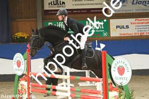 2023-10-22: Monte Gino FS  bei Reitturnier in Gadebusch