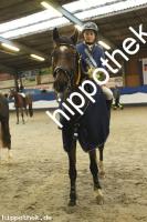 2023-10-22:  bei Reitturnier in Gadebusch