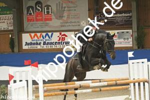 2023-10-22: Monte Gino FS  bei Reitturnier in Gadebusch