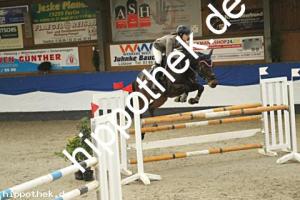 2023-10-22: Quincy H  bei Reitturnier in Gadebusch