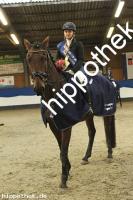 2023-10-22:  bei Reitturnier in Gadebusch