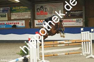 2023-10-22: Colani Sunrise  bei Reitturnier in Gadebusch