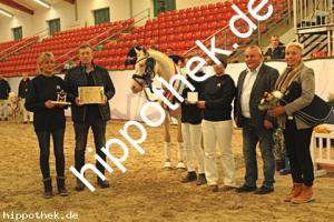 2023-12-07: Firstclass Valentino  bei Körung PKS in Redefin