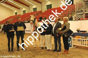 2023-12-07: Firstclass Valentino  bei Körung PKS in Redefin