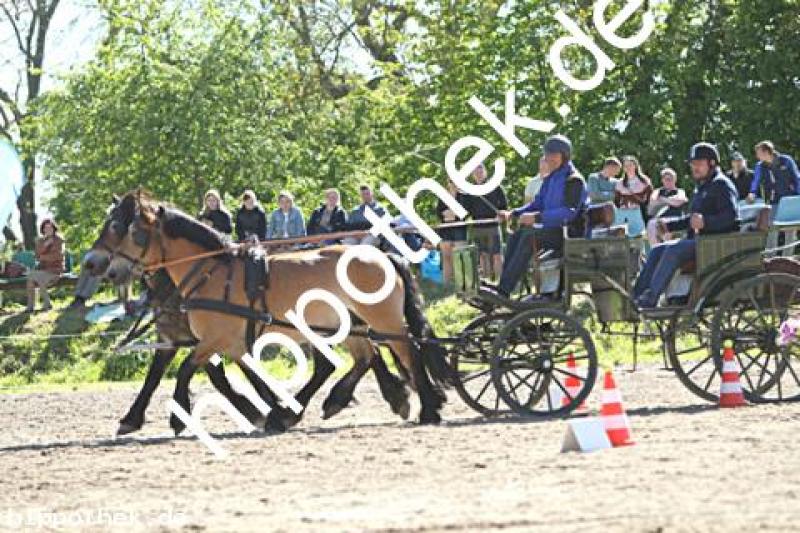 Foto 216903