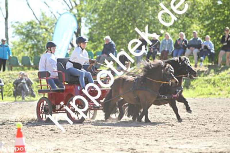Foto 216945