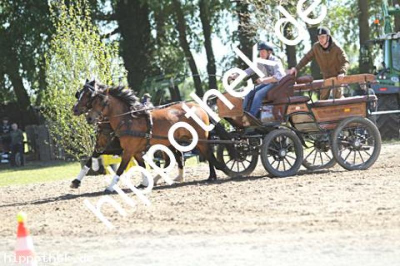 Foto 216949