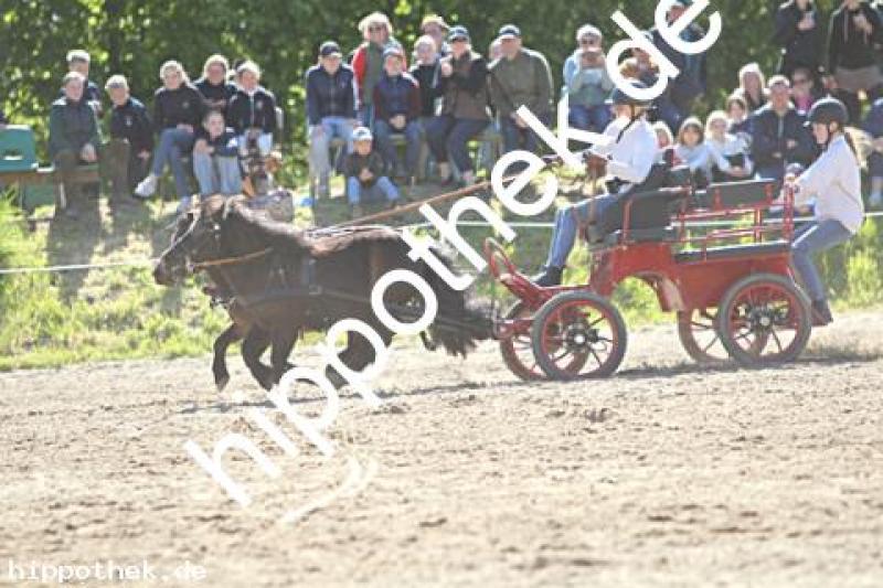 Foto 216955