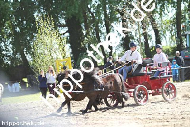 Foto 216987