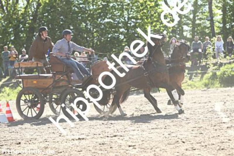 Foto 216999